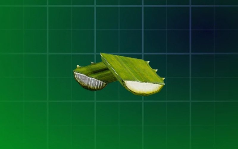 Agave