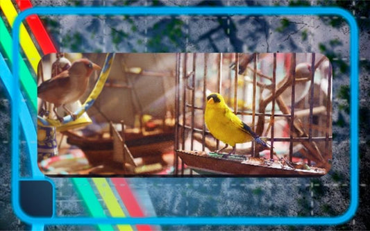 ARC Raiders Avian Alarm