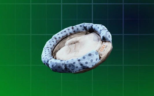 Cat Bed