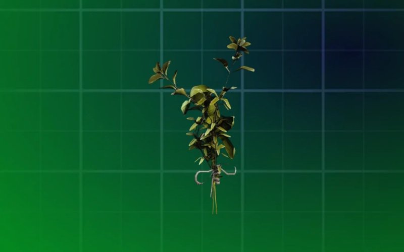Great Mullein