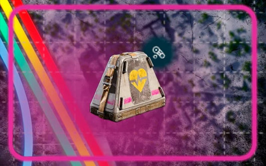 Looting Mk3 Survivor