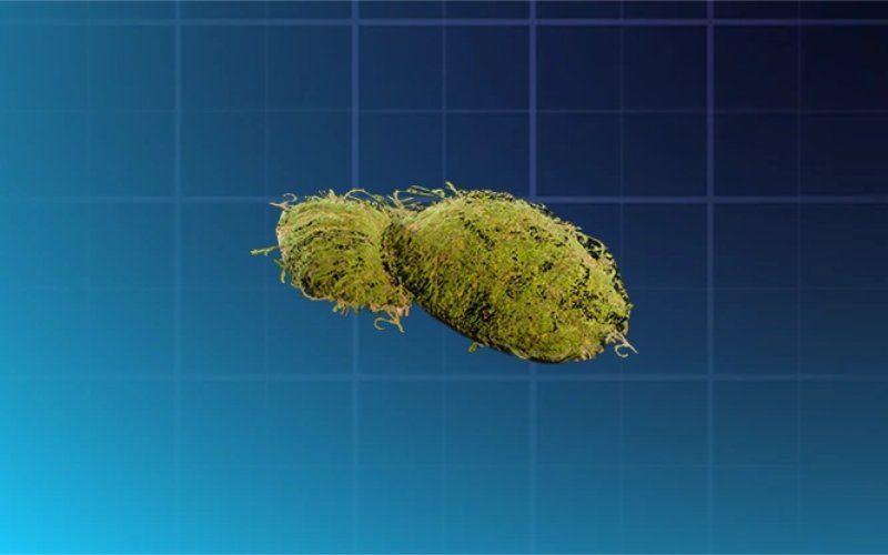 Moss