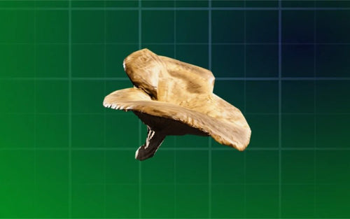 Mushroom