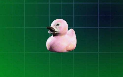 Tropical Duck